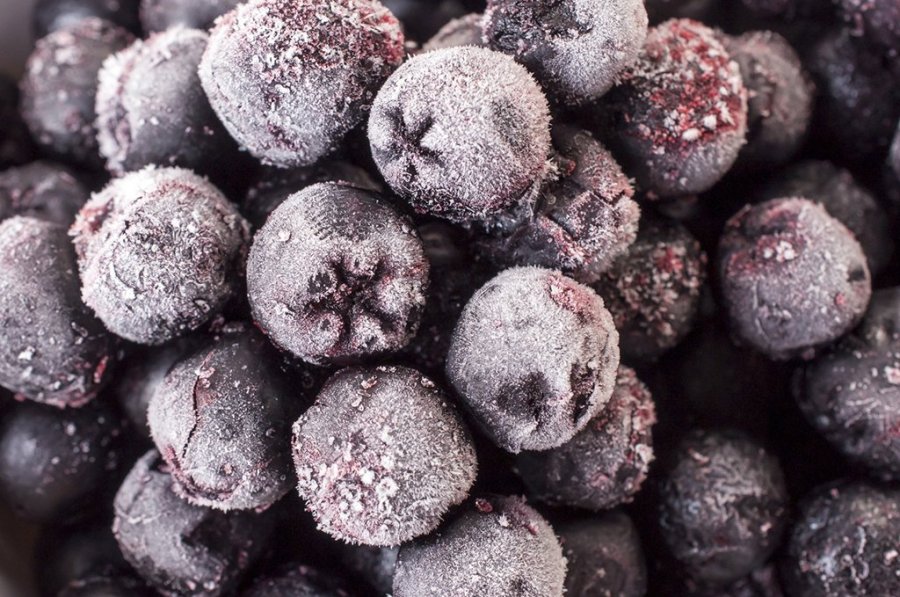 aronia_f