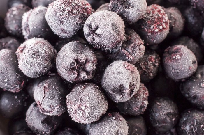 aronia_f
